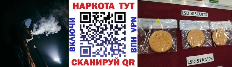 Где найти наркотики Ленинск-Кузнецкий Псилоцибиновые грибы COCAIN ГАШ Меф мяу мяу МАРИХУАНА A-PVP blacksprut сайт АМФЕТАМИН