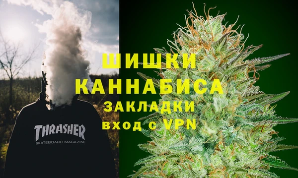 ГАЛЛЮЦИНОГЕННЫЕ ГРИБЫ Баксан