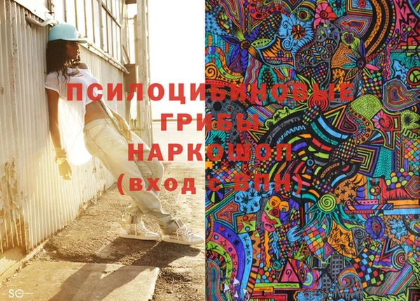 ГАЛЛЮЦИНОГЕННЫЕ ГРИБЫ Баксан