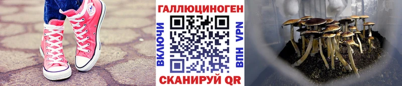 Псилоцибиновые грибы ЛСД  магазин  наркотиков  KRAKEN зеркало  Ленинск-Кузнецкий 